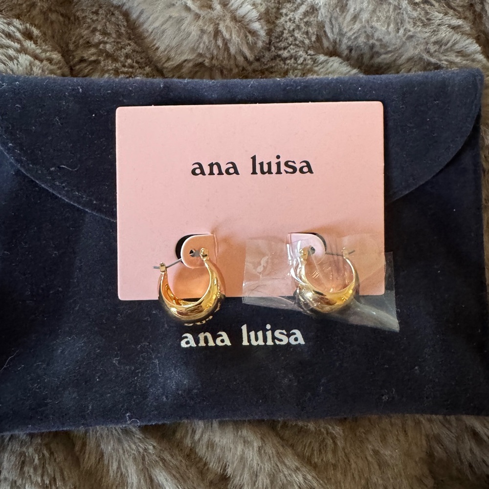 Ana Luisa Gold Hoop Earrings